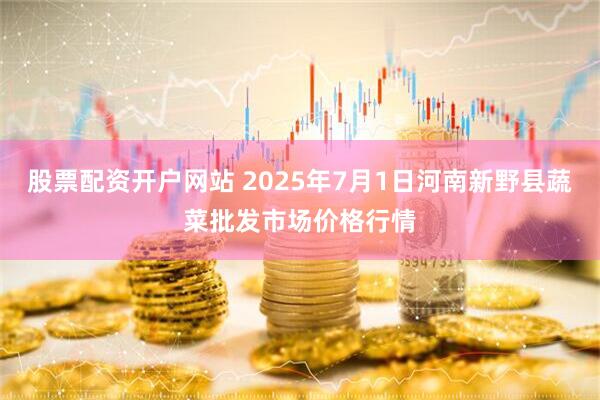 股票配资开户网站 2025年7月1日河南新野县蔬菜批发市场价格行情